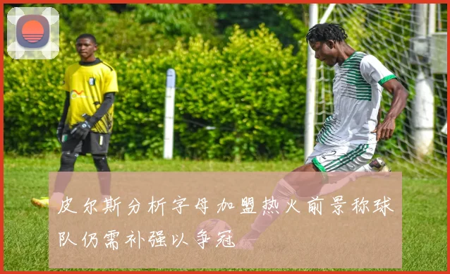 皮尔斯分析字母加盟热火前景称球队仍需补强以争冠